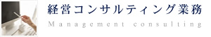 経営コンサルティング業務